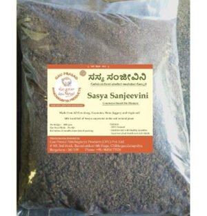 Ghana Sasya Sanjeevini benefits, Ghana Sasya Sanjeevini reviews, Ghana Sasya Sanjeevini uses, Sasya Sanjeevini agriculture solution, Sasya Sanjeevini eco-friendly plant tonic, Sasya Sanjeevini Ghana, Sasya Sanjeevini Ghana benefits, Sasya Sanjeevini Ghana distributor, Sasya Sanjeevini Ghana price, Sasya Sanjeevini Ghana where to buy, Sasya Sanjeevini natural plant care, Sasya Sanjeevini organic farming aid, Sasya Sanjeevini organic plant supplement, Sasya Sanjeevini plant growth promoter, Sasya Sanjeevini plant health booster, Sasya Sanjeevini plant nutrition supplement, Sasya Sanjeevini plant revitalizer, Sasya Sanjeevini plant stress reliever, Sasya Sanjeevini plant tonic, Sasya Sanjeevini plant vitality enhancer