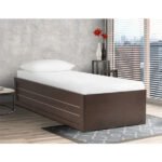 [Compact & Versatile] Piyestra Knock Down Day Bed – [2-in-1 Design] Comfort Meets Contemporary Style
