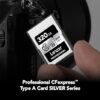 Lexar 320gb Type-A Silver