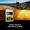 Lexar 80gb Type-A Gold