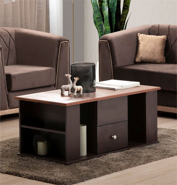 Piyestar Coffee Table (016)