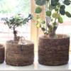 Banana Fibre Round Basket/Planter
