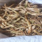 Balaka Menasinkai (Stuffed Sundried Green Chilli, Uppin Mensinkai) (A 01)