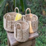 Water Hyacinth Round Trays