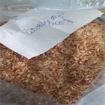 manjula sona rice