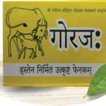 Gorajha Handmade Organic Soap – Pure, Natural & Skin-Nourishing Cleanser (Pack Of 6)