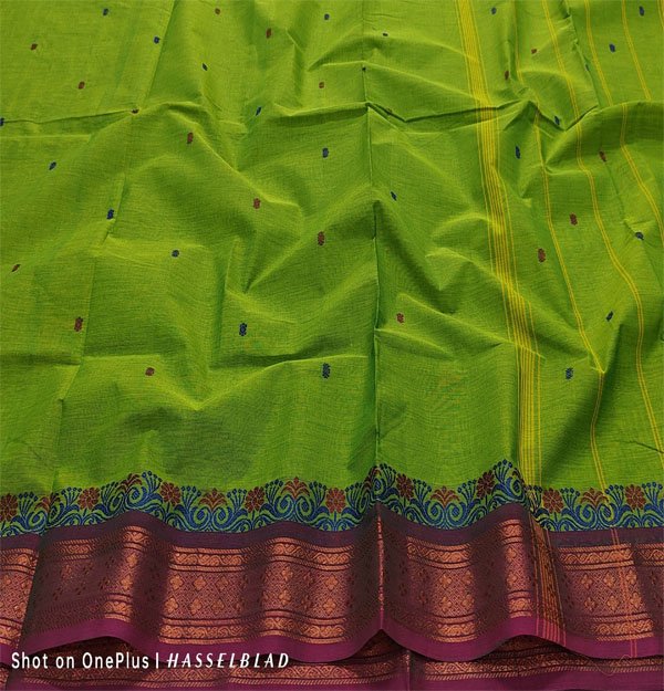 Kanchi Cotton hand woven putta saree