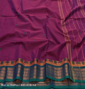 Kanchi cotton saree, Kanchi cotton saree with putty, Kanchi cotton sarees online, Kanchi handloom sarees, Traditional Kanchi cotton saree, Kanchi cotton sarees with zari border, Pure Kanchi cotton saree, Handwoven putty saree, Kanchi cotton saree designs, Kanchi cotton sarees with pallu, Authentic Kanchi cotton saree, Buy Kanchi cotton sarees online, Kanchi cotton putta sarees, Handloom Kanchi sarees with putty, Lightweight Kanchi cotton saree, Kanchi cotton sarees for weddings, Handwoven Kanchi sarees online, Kanchi cotton sarees with motifs,