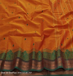 Kanchi cotton saree, Kanchi cotton saree with putty, Kanchi cotton sarees online, Kanchi handloom sarees, Traditional Kanchi cotton saree, Kanchi cotton sarees with zari border, Pure Kanchi cotton saree, Handwoven putty saree, Kanchi cotton saree designs, Kanchi cotton sarees with pallu, Authentic Kanchi cotton saree, Buy Kanchi cotton sarees online, Kanchi cotton putta sarees, Handloom Kanchi sarees with putty, Lightweight Kanchi cotton saree, Kanchi cotton sarees for weddings, Handwoven Kanchi sarees online, Kanchi cotton sarees with motifs,