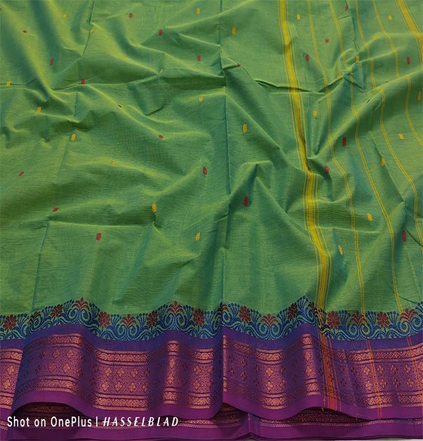 Kanchi Cotton hand woven putta saree