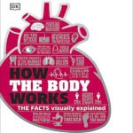 How the Body Works