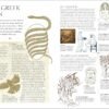 Myths & Legends – Timeless Tales of Heroes, Gods, and Mystical Creatures (India-book)