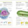 Biology: The Ultimate Bitesize Study Guide (India-book)