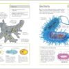 Biology: The Ultimate Bitesize Study Guide (India-book)