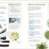 Biology: The Ultimate Bitesize Study Guide (India-book)