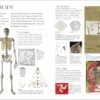 Signs & Symbols – Unlocking the Hidden Meaning Behind Ancient and Modern Icons (India-book)