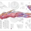 "Science of Strength Training – Proven Methods for Building Muscle and Enhancing Performance" (India-book)