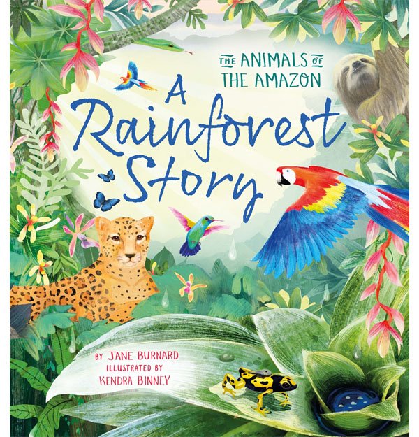 A Rainforest Story