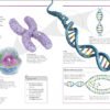 Biology: The Ultimate Bitesize Study Guide (India-book)