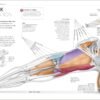 "Science of Strength Training – Proven Methods for Building Muscle and Enhancing Performance" (India-book)