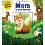 Sliding Pictures: Mom is my Home