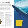 Sharks - Engaging Books for Inquisitive Minds (ibook) [Shark Lovers Rejoice!] 10 Must-Have Books About Sharks