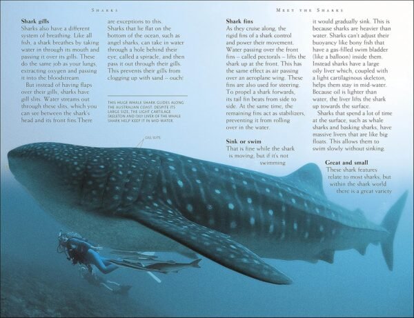 Sharks - Engaging Books for Inquisitive Minds (ibook) [Shark Lovers Rejoice!] 10 Must-Have Books About Sharks