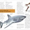 Sharks - Engaging Books for Inquisitive Minds (ibook) [Shark Lovers Rejoice!] 10 Must-Have Books About Sharks