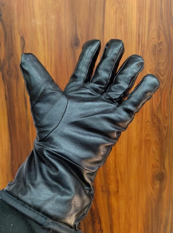 Winter Leather Gloves (Aakar 01)