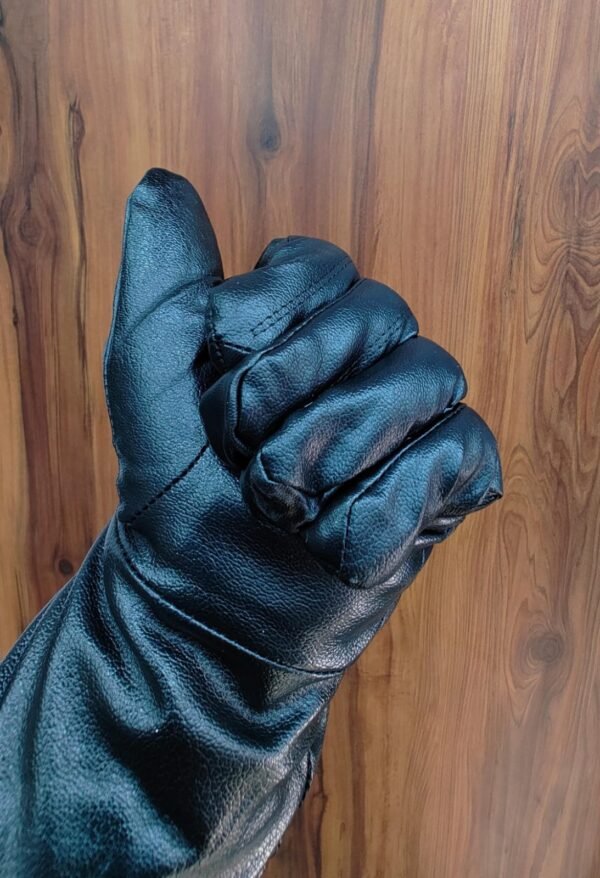 Winter Leather Gloves (Aakar 01)