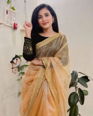 Golden Twill Net Saree, With blouse piece