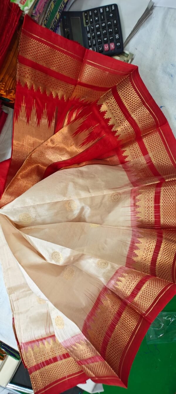 Phaitni Silk Sari