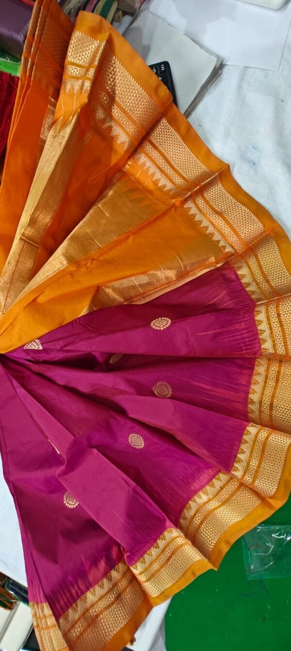 Phaitni Silk Sari