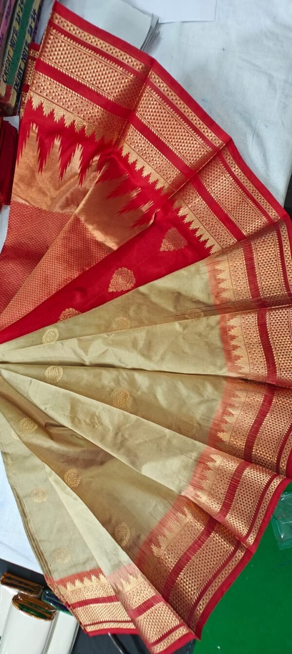 Phaitni Silk Sari