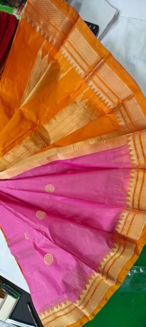 Phaitni silk sari,