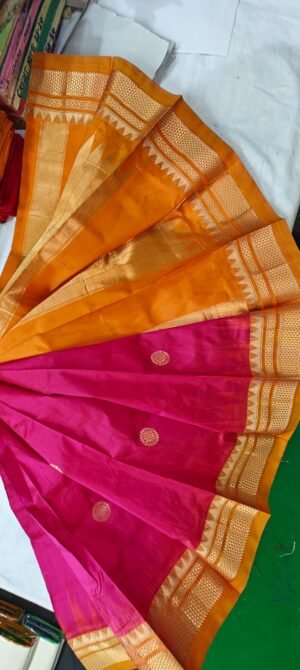 Phaitni silk sari,