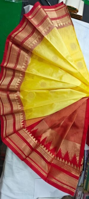 Phaitni silk sari,