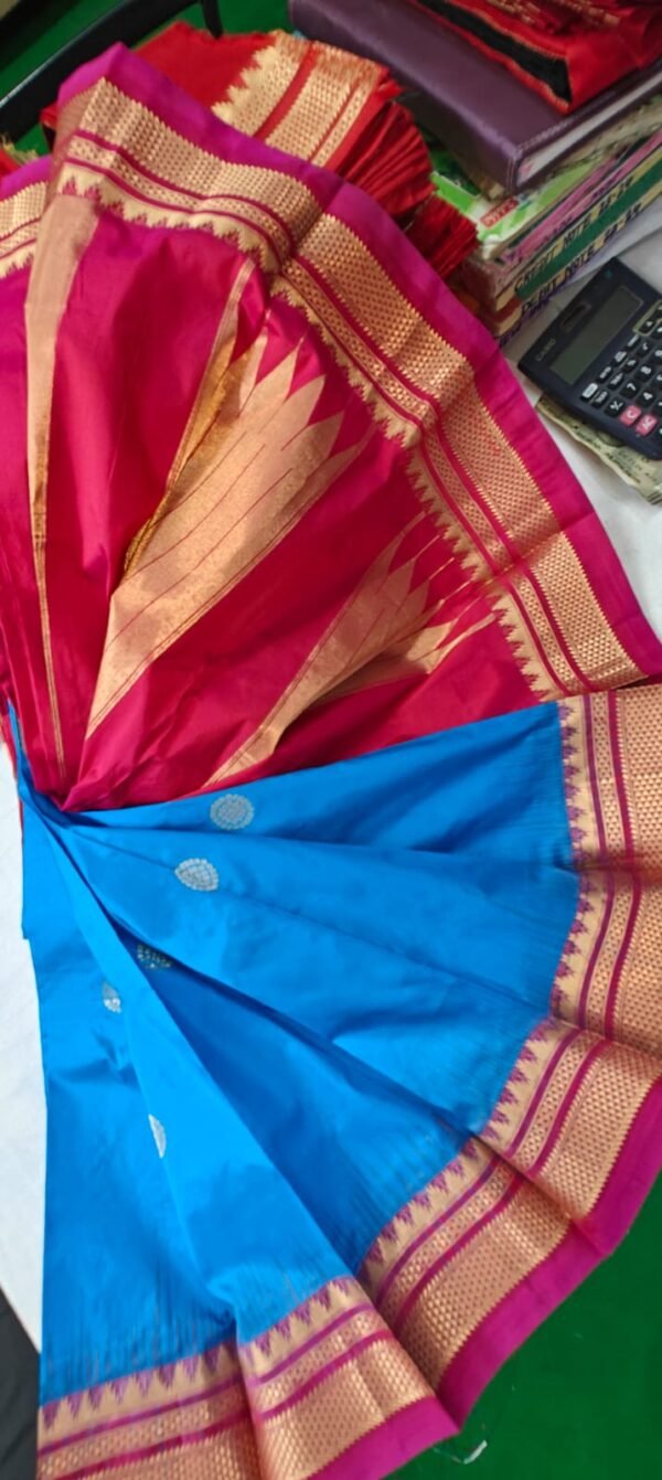 Phaitni silk sari,