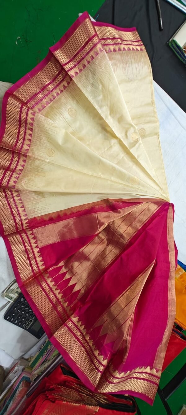 Phaitni Silk Sari