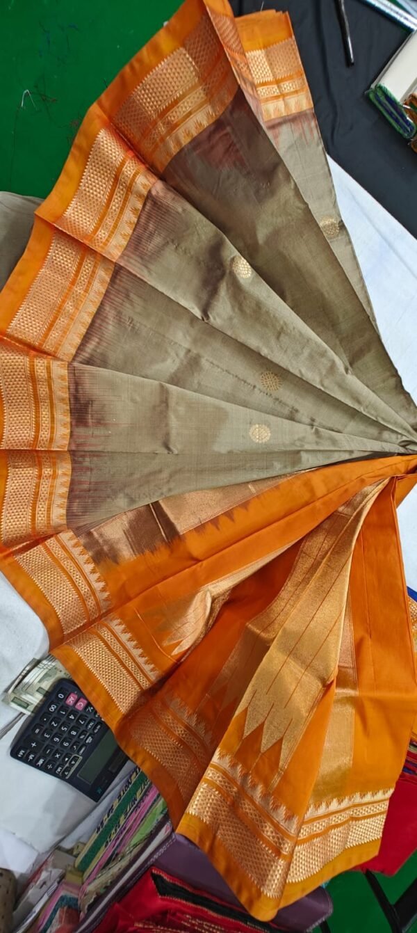 Phaitni Silk Sari