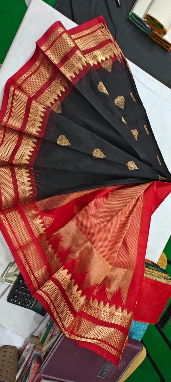 Phaitni Silk Sari