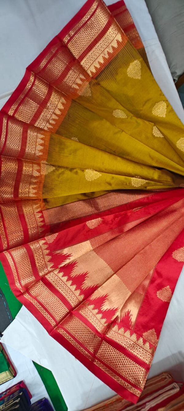 Phaitni silk sari,