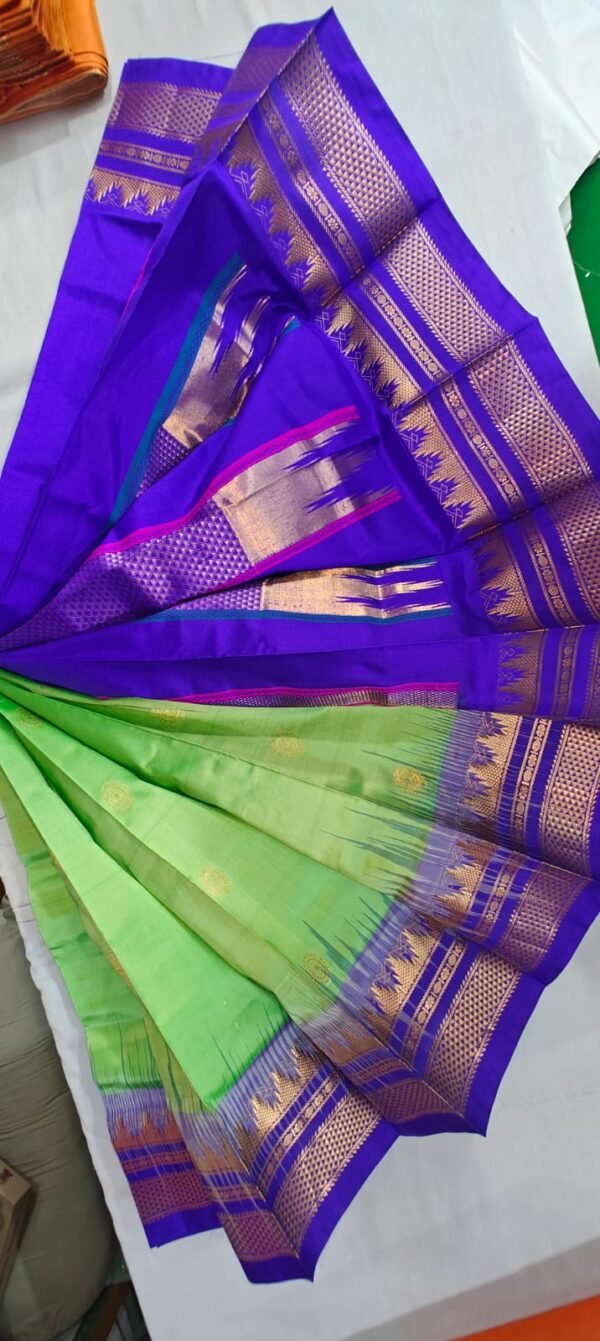 Phaitni Silk Sari