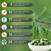 Moringa Tablets | Organic Superfood Supplement for Energy & Wellness