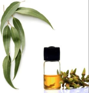 Eucalyptus oil for henna, Best eucalyptus oil for henna, Eucalyptus oil to darken henna, Eucalyptus oil for mehndi, Eucalyptus oil for henna application, Pure eucalyptus oil for henna, How to use eucalyptus oil for henna, Eucalyptus oil benefits for henna, Organic eucalyptus oil for henna, Eucalyptus oil for henna paste, Eucalyptus essential oil for henna, Eucalyptus oil for deep henna stain, Eucalyptus oil for darker mehndi, Eucalyptus oil for henna tattoo, Henna eucalyptus oil mix, Natural eucalyptus oil for mehndi, Eucalyptus oil for long-lasting henna, Eucalyptus oil for henna cones, Eucalyptus oil for bridal mehndi, Eucalyptus oil for hair henna,