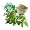 Bhringraj Dry Leaves Powder 1kg, 100% Pure Bhringraj Powder, Natural Bhringraj Powder for Hair, Herbal Bhringraj Powder 1kg, Buy Bhringraj Leaves Powder Online, Organic Bhringraj Powder for Hair Growth, Ayurvedic Bhringraj Powder, Bhringraj Powder for Scalp Health, Bhringraj Powder for Hair Loss, Best Bhringraj Powder for Hair Care, Bhringraj Powder for Thick Hair, Chemical-Free Bhringraj Powder, Bhringraj Powder for Dandruff Control, Wholesale Bhringraj Powder 1kg, Bhringraj Powder for DIY Hair Masks, Premium Quality Bhringraj Powder, Fresh Bhringraj Leaves Powder, Bhringraj Powder for Herbal Hair Treatment, Pure Bhringraj Powder for Hair & Scalp, Bhringraj Powder for Natural Hair Dye,