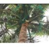 [Top 4 features] to Use Coconut Safety Net – Strong, Reliable, and Peace of Mind!