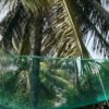 [Top 4 features] to Use Coconut Safety Net – Strong, Reliable, and Peace of Mind!
