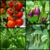[Top 10 Plants to grow] when you Choose 18×18 inch Grow Bags – Strong, Spacious, and High-Yield Gardening!