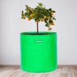 [Top 10 Plants to grow] when you Choose 18×18 inch Grow Bags – Strong, Spacious, and High-Yield Gardening!